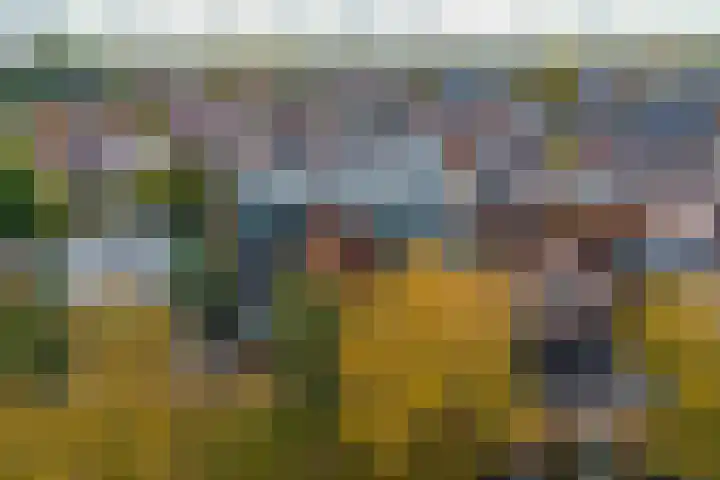Burgemeester Schönfeldplein 15 C 1 Winschoten thumbnail 47