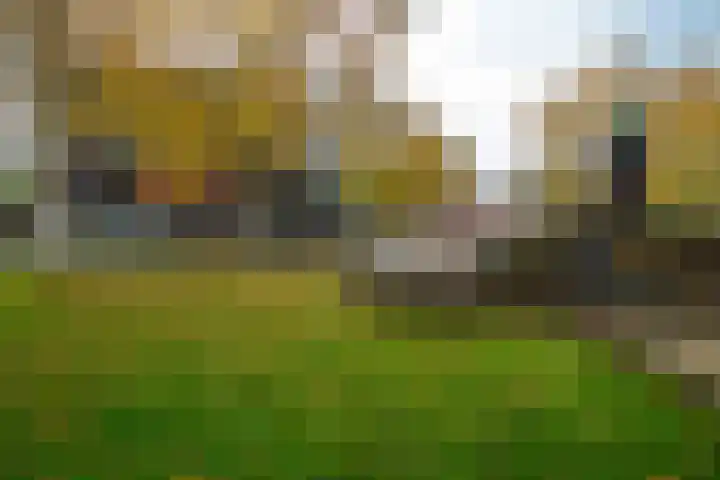 Burgemeester Schönfeldplein 15 C 1 Winschoten thumbnail 48