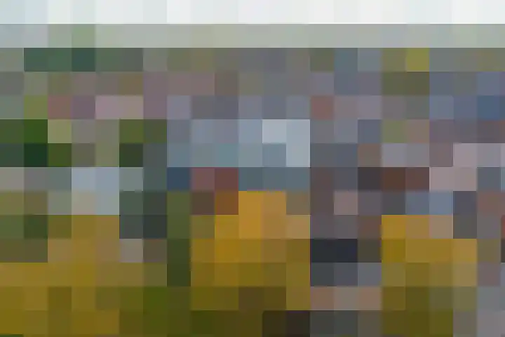 Burgemeester Schönfeldplein 15 C 1 Winschoten thumbnail 49