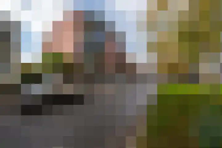Burgemeester Schönfeldplein 15 C 1 Winschoten thumbnail 9