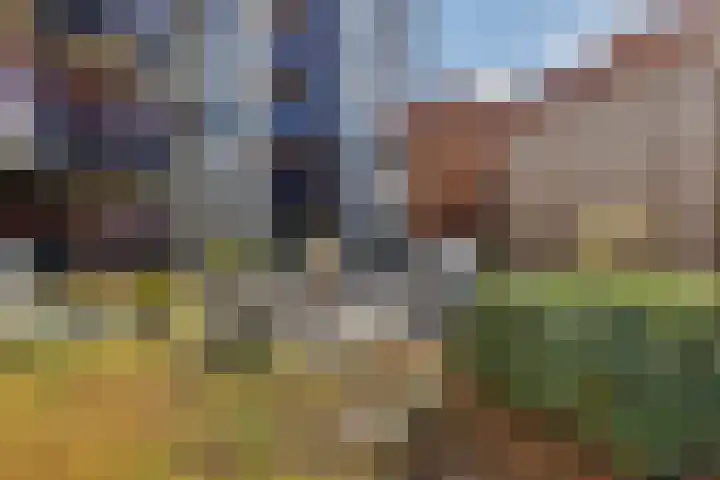 Burgemeester Schönfeldplein 31 A 1 Winschoten thumbnail 9