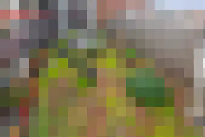 Burgemeester Schönfeldplein 31 B 1 Winschoten thumbnail 29