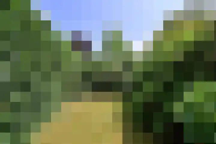 Burgemeester Schooklaan 3 Hilversum thumbnail 25