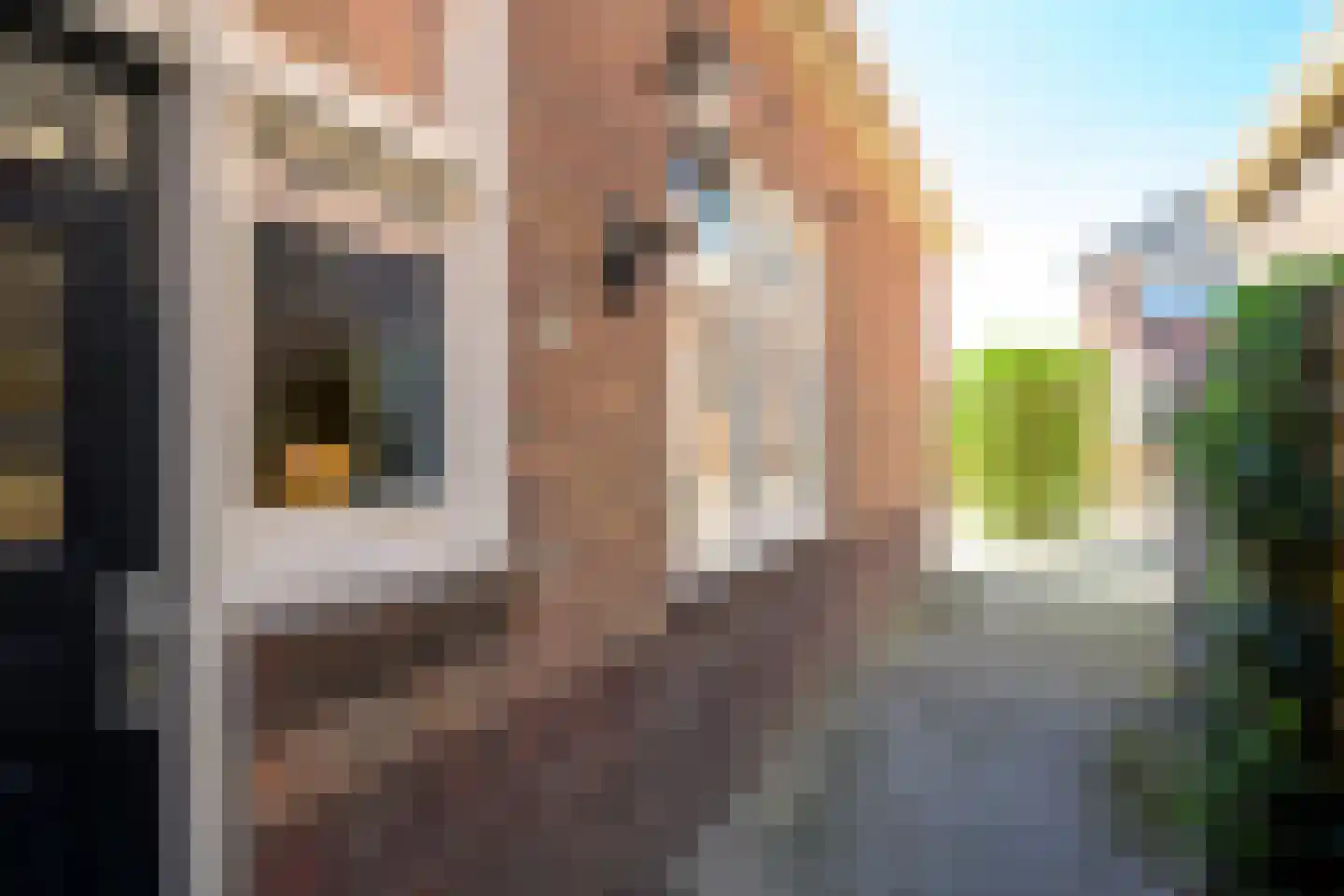 Burgemeester Schoutsenstraat 24 Medemblik thumbnail 46