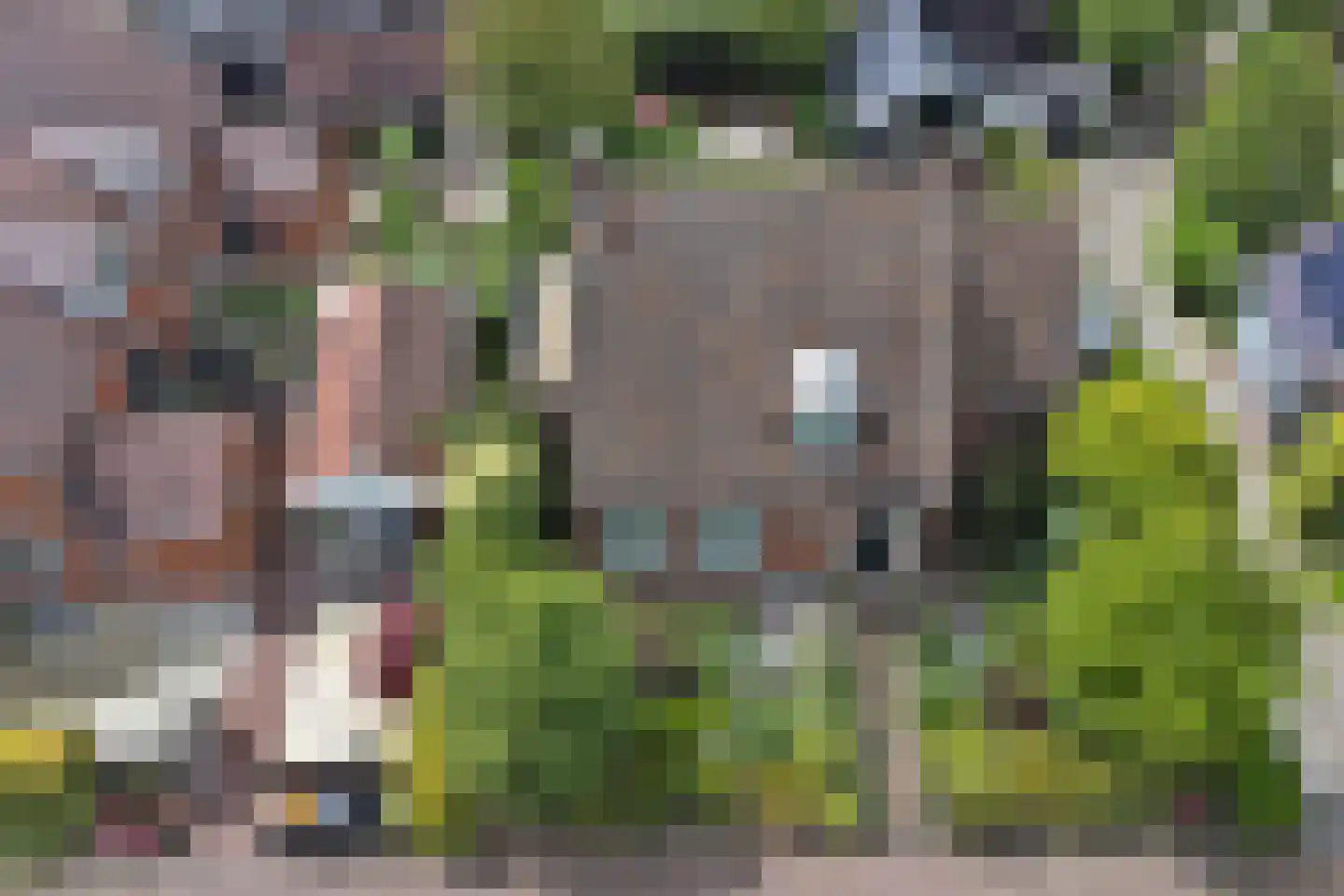 Burgemeester Schrijnderlaan 12 Grootebroek thumbnail 48