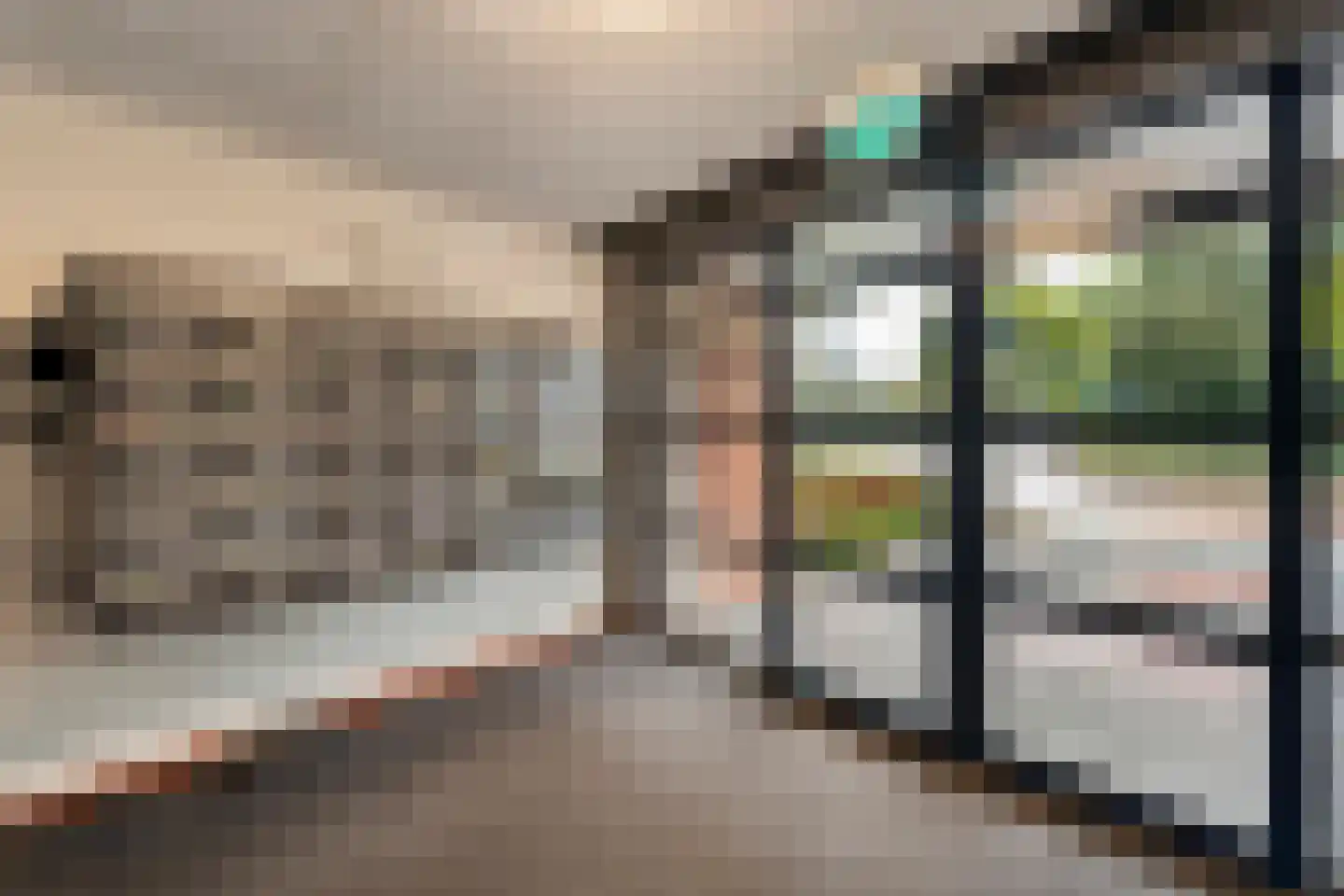Burgemeester Schuitestraat 114 Hardenberg thumbnail 11