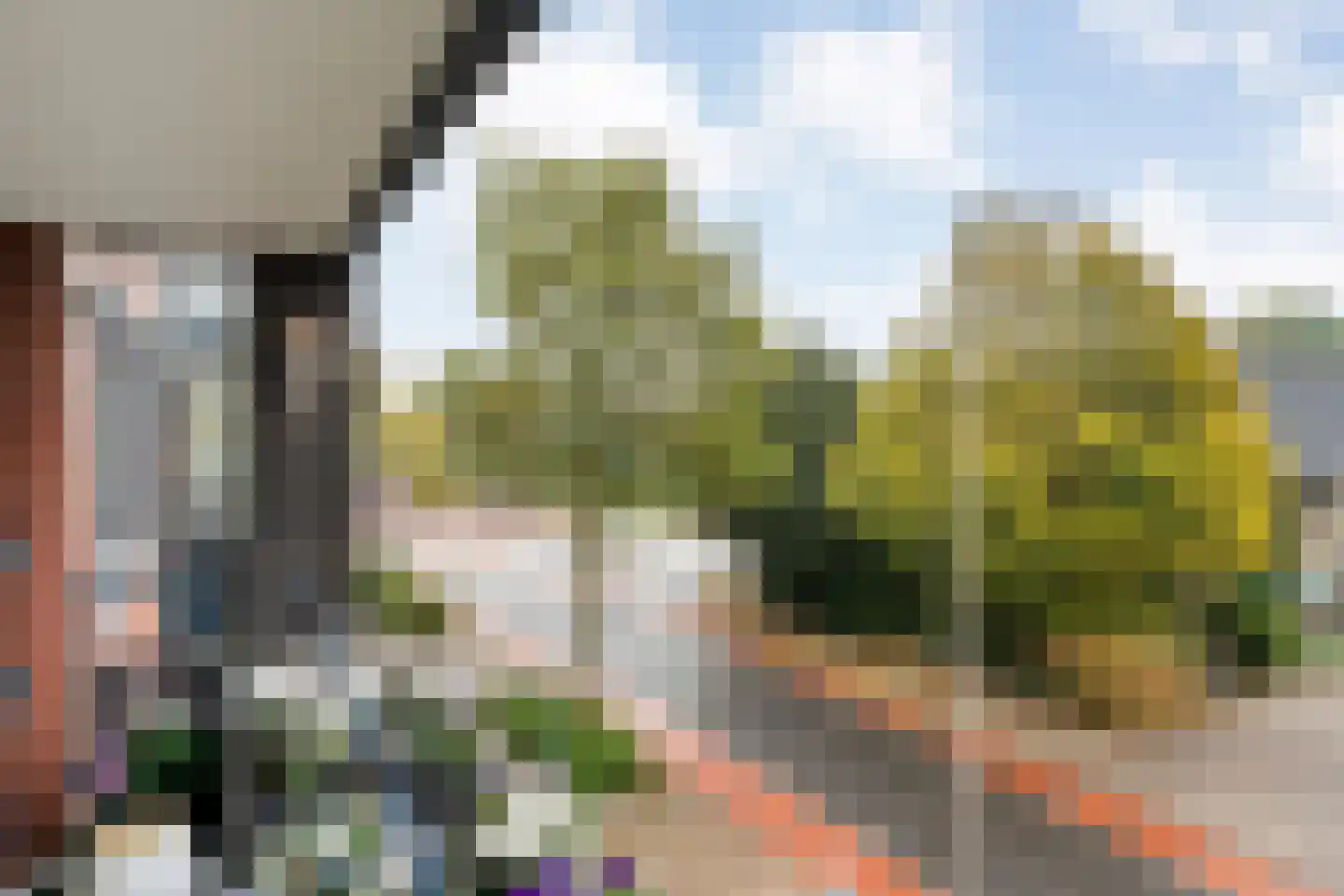 Burgemeester Schuitestraat 114 Hardenberg thumbnail 38