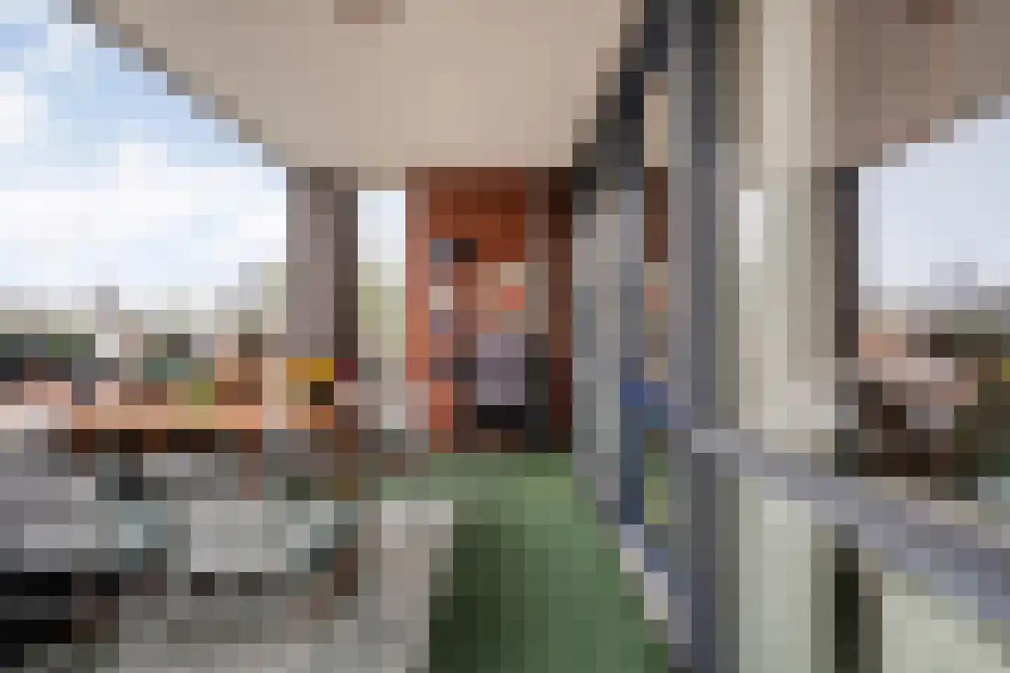 Burgemeester Schuitestraat 114 Hardenberg thumbnail 4
