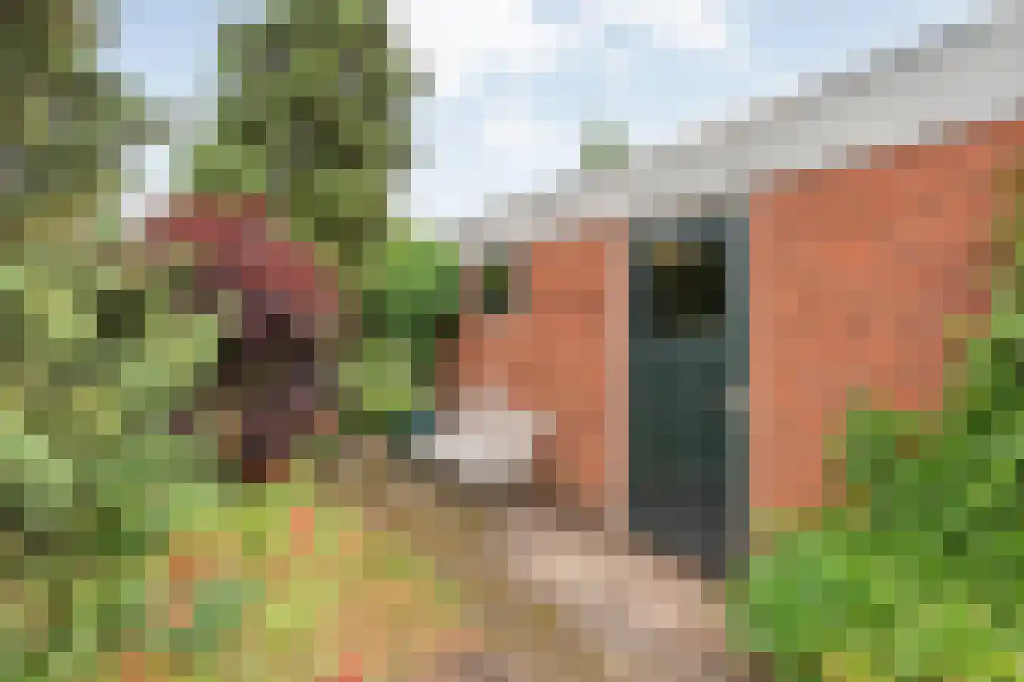 Burgemeester Schuitestraat 40 Hardenberg thumbnail 34