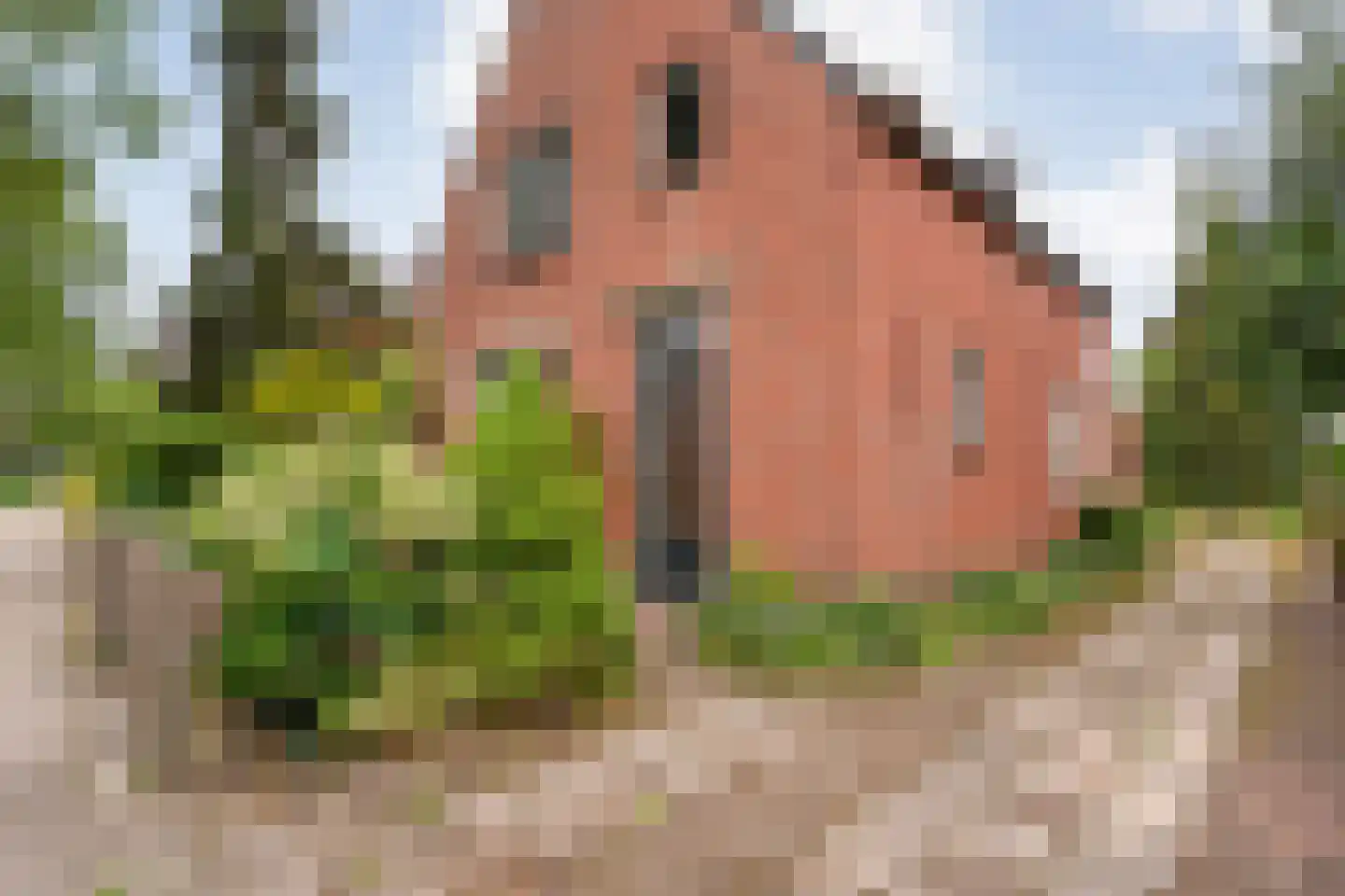 Burgemeester Schuitestraat 40 Hardenberg thumbnail 5