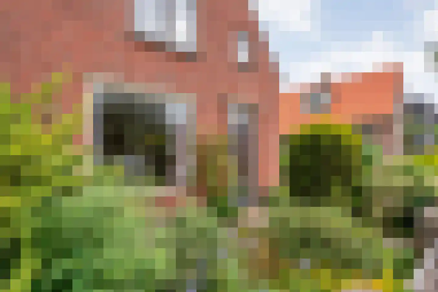 Burgemeester Schuitestraat 40 Hardenberg thumbnail 6