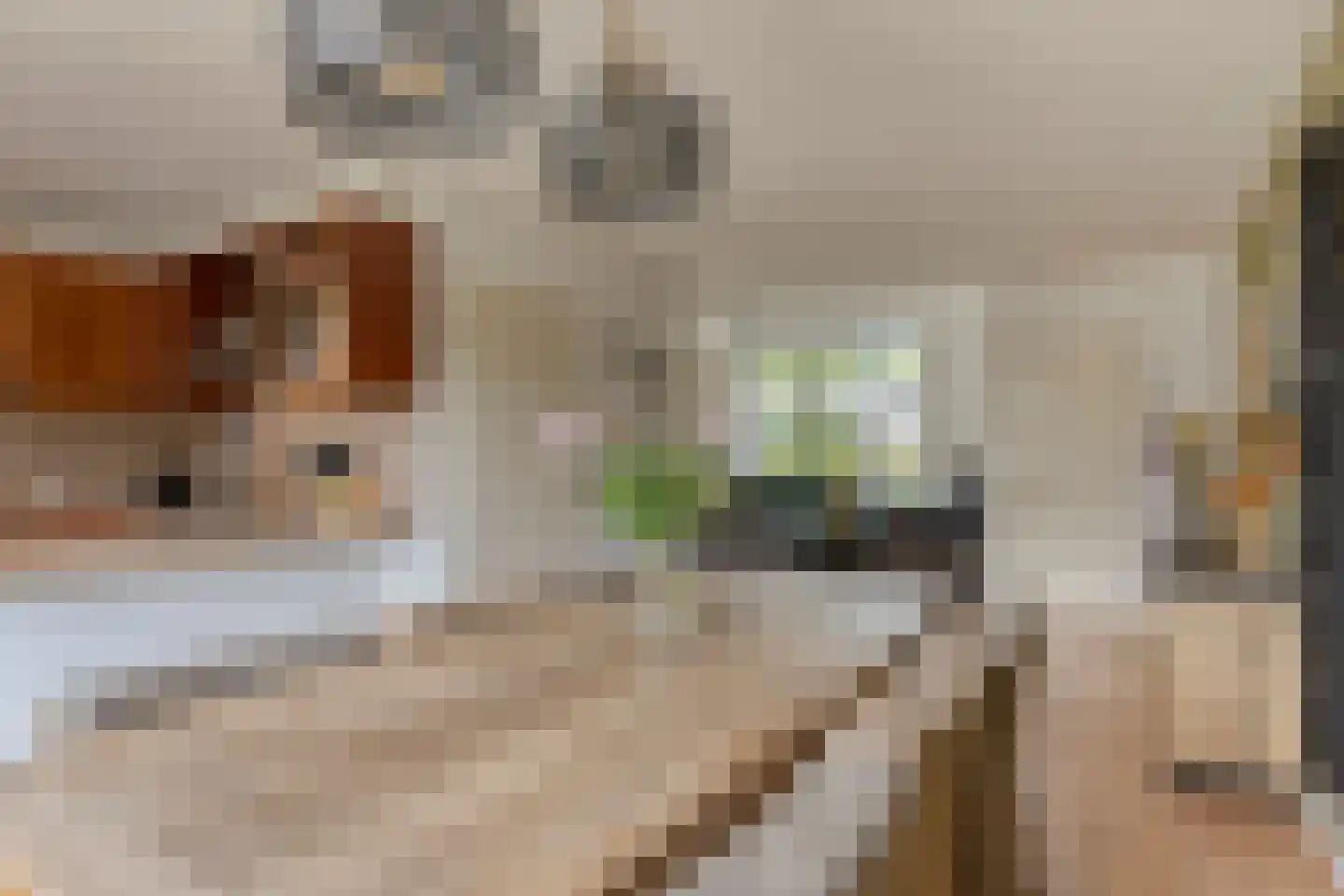 Burgemeester Seelenlaan 47 Beek en Donk thumbnail 20