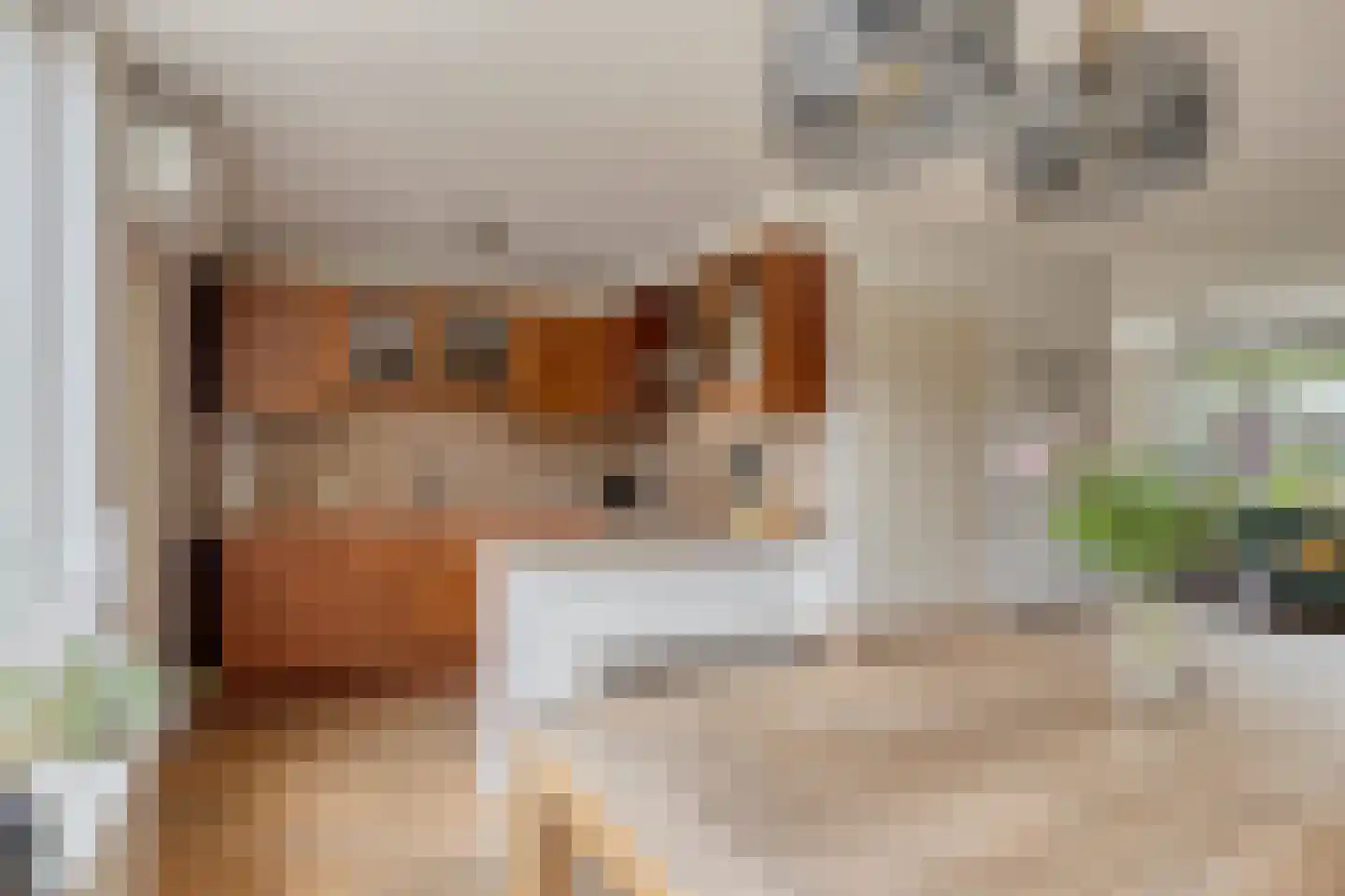 Burgemeester Seelenlaan 47 Beek en Donk thumbnail 22