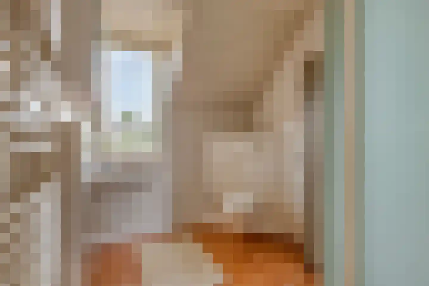 Burgemeester Seelenlaan 47 Beek en Donk thumbnail 32