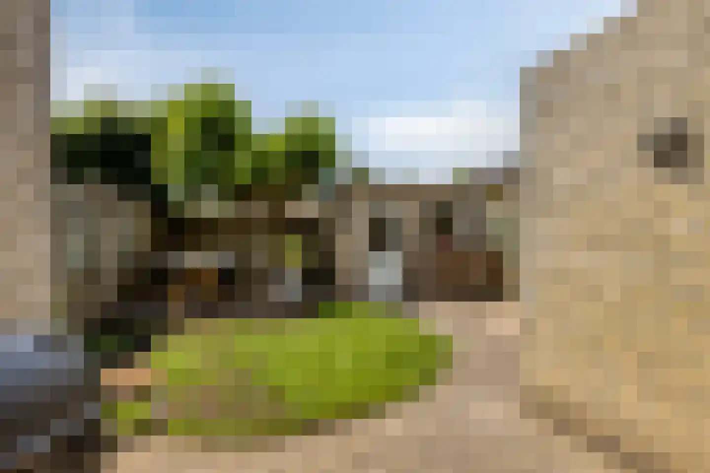 Burgemeester Seelenlaan 47 Beek en Donk thumbnail 41