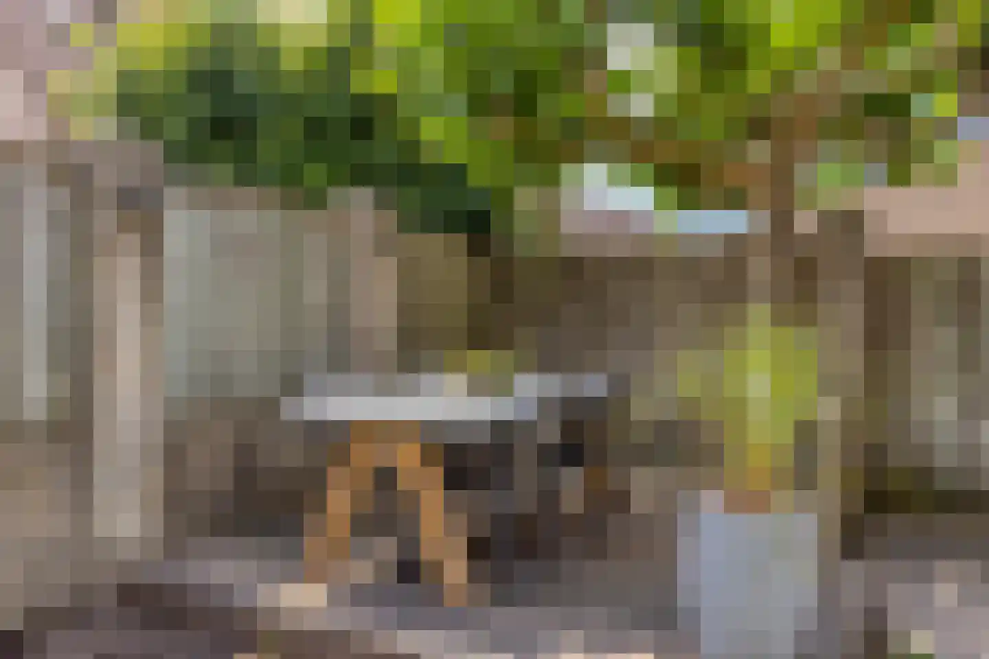 Burgemeester Seelenlaan 47 Beek en Donk thumbnail 44