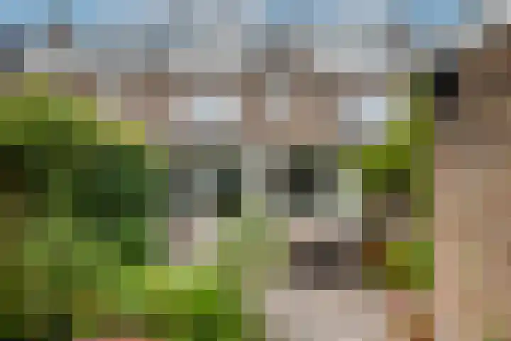 Burgemeester Serrarislaan 47 Breda thumbnail 21