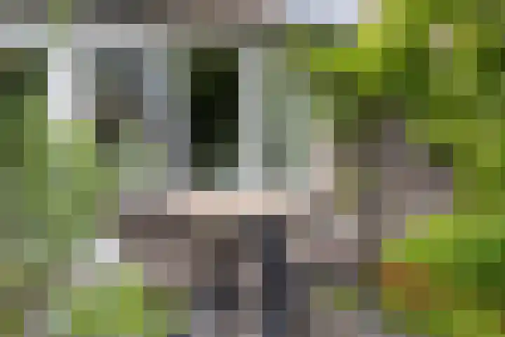 Burgemeester Serrarislaan 47 Breda thumbnail 22