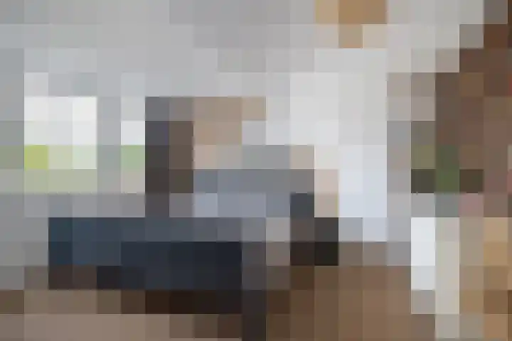 Burgemeester Serrarislaan 47 Breda thumbnail 35