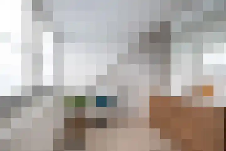 Burgemeester Serrarislaan 47 Breda thumbnail 4