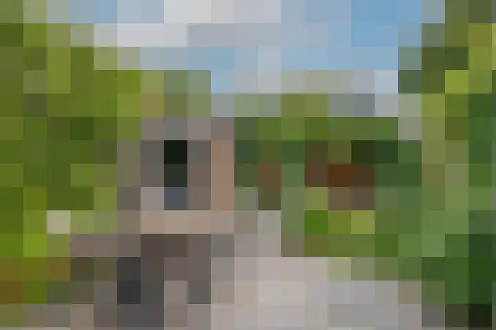 Burgemeester Serrarislaan 47 Breda thumbnail 5