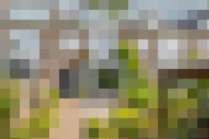 Burgemeester Serrarislaan 47 Breda thumbnail 6