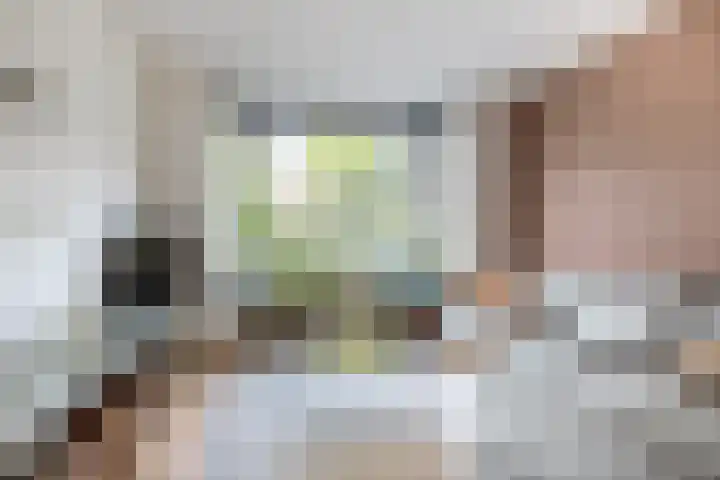 Burgemeester Serrarislaan 47 Breda thumbnail 8