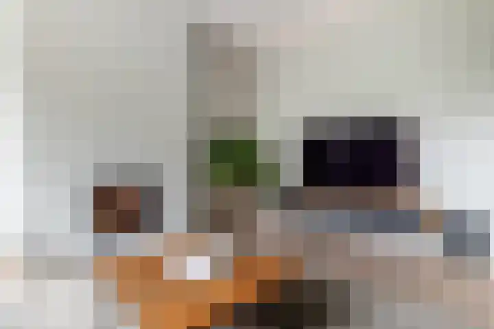 Burgemeester Serrarislaan 5 Breda thumbnail 10