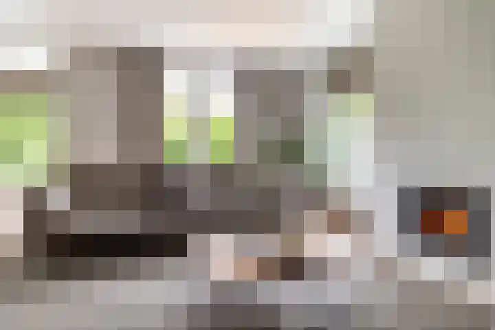 Burgemeester Serrarislaan 5 Breda thumbnail 11