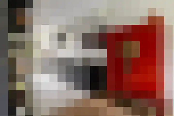 Burgemeester Serrarislaan 5 Breda thumbnail 13