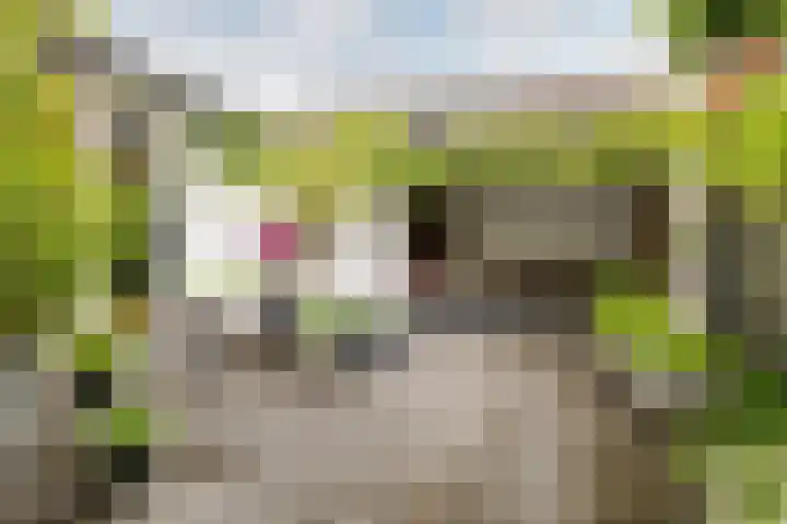 Burgemeester Serrarislaan 5 Breda thumbnail 18