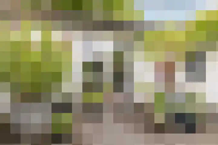 Burgemeester Serrarislaan 5 Breda thumbnail 19