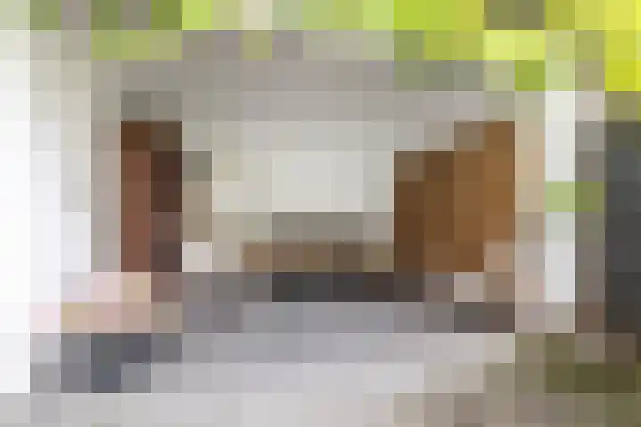 Burgemeester Serrarislaan 5 Breda thumbnail 20
