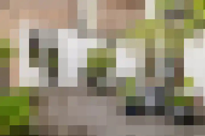 Burgemeester Serrarislaan 5 Breda thumbnail 21