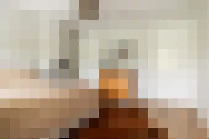 Burgemeester Serrarislaan 5 Breda thumbnail 24