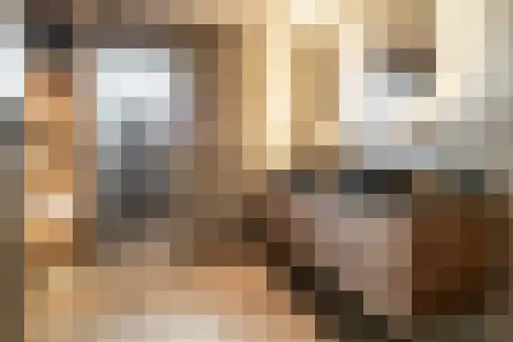 Burgemeester Serrarislaan 5 Breda thumbnail 26