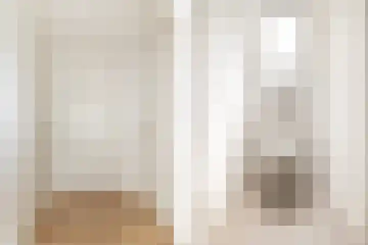 Burgemeester Serrarislaan 5 Breda thumbnail 31