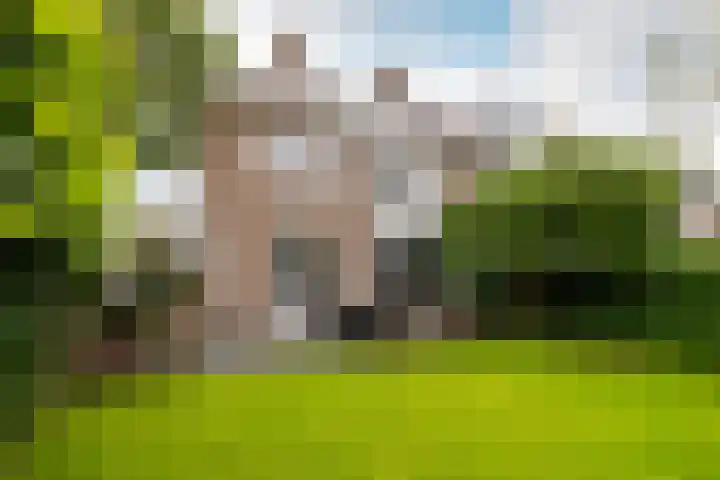 Burgemeester Serrarislaan 5 Breda thumbnail 35