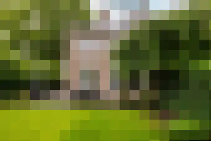 Burgemeester Serrarislaan 5 Breda thumbnail 36