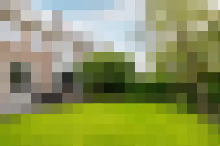 Burgemeester Serrarislaan 5 Breda thumbnail 37