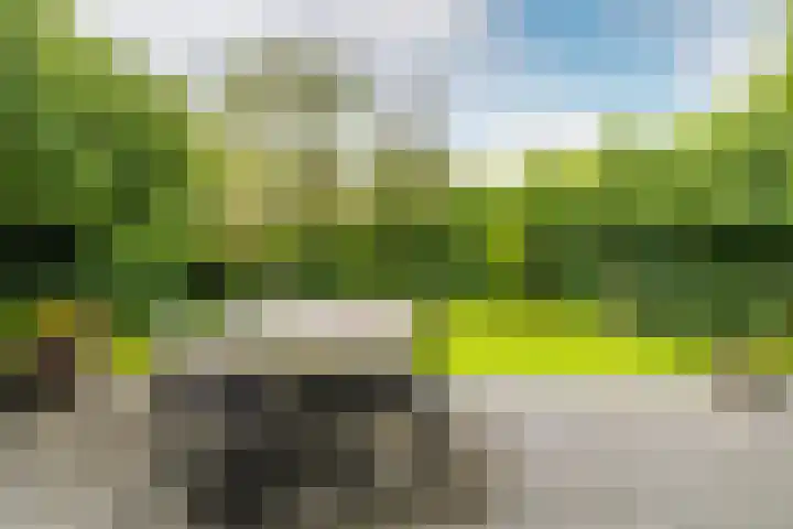 Burgemeester Serrarislaan 5 Breda thumbnail 38