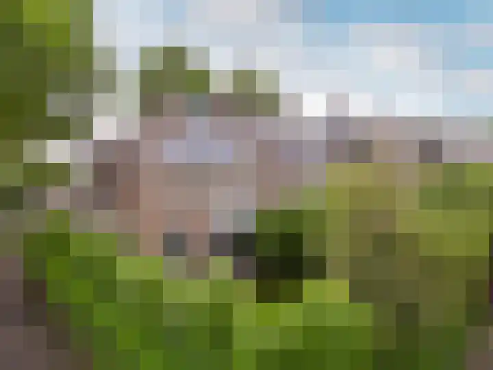 Burgemeester Serrarislaan 5 Breda thumbnail 39