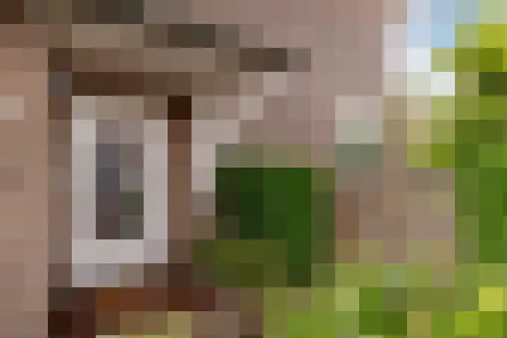 Burgemeester Serrarislaan 5 Breda thumbnail 6