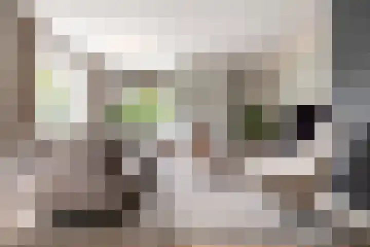 Burgemeester Serrarislaan 5 Breda thumbnail 9