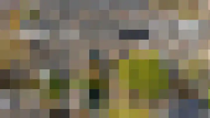 Burgemeester Serrarislaan 51 Breda thumbnail 26