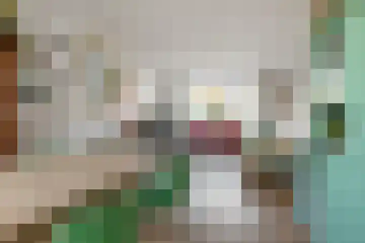 Burgemeester Serrarislaan 51 Breda thumbnail 6