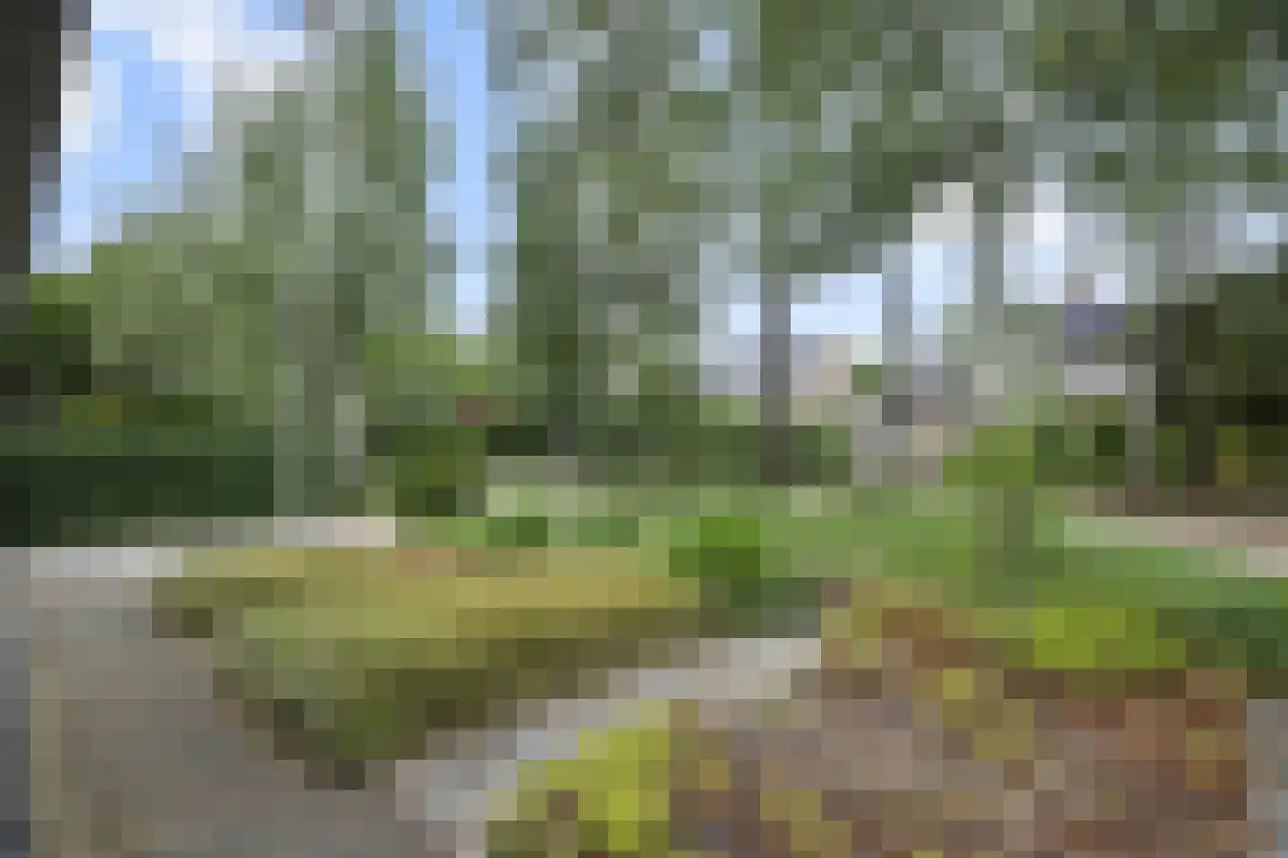 Burgemeester Siepkenslaan 6 Rosmalen thumbnail 39