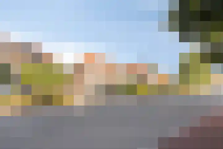 Burgemeester Smeelelaan 12 Waalwijk thumbnail 6