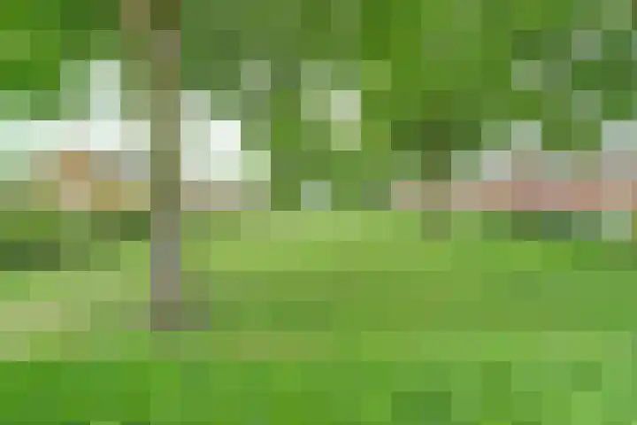 Burgemeester Smeelelaan 27 Waalwijk thumbnail 5