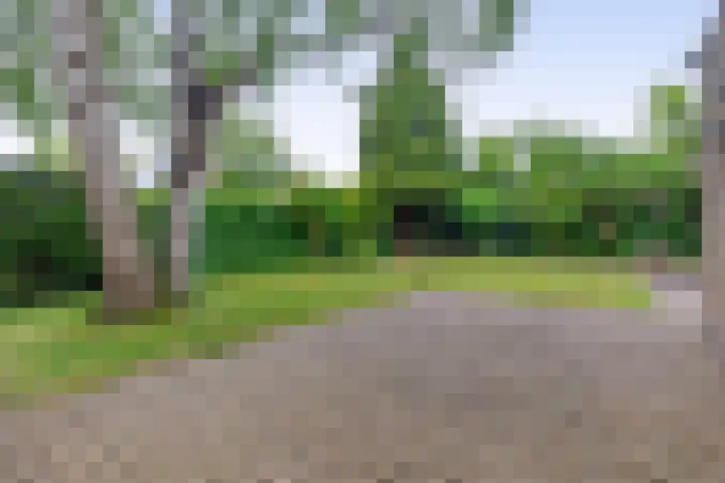 Burgemeester Smeelelaan 66 Waalwijk thumbnail 19